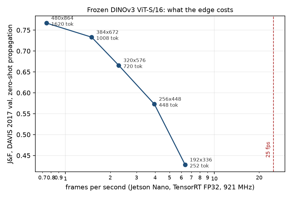 Accuracy against frame rate for five input resolutions on a Jetson Nano, every point far left of the 25 fps line