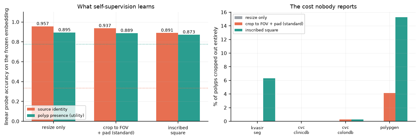 Source identity and polyp-presence accuracy from a frozen self-supervised encoder across the three pipelines